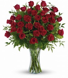 Breathtaking Beauty - Three Dozen Red Roses from Backstage Florist in Richardson, Texas